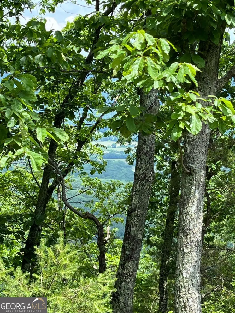 157 Hwy, Menlo, GA 30731 - Image #3