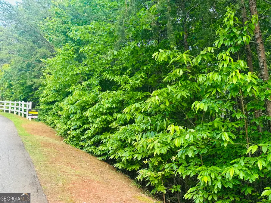 LOT 30 Crown Mountain Way, Dahlonega, GA 30533 - Image #2