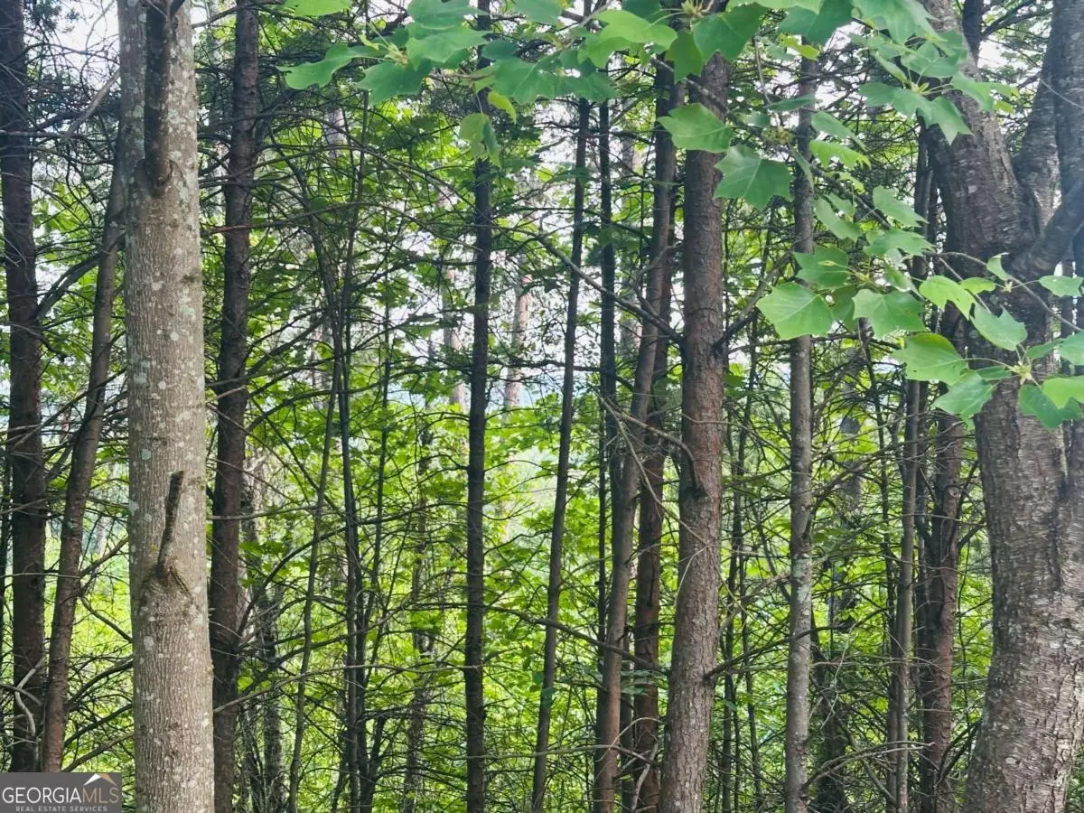 LOT 28 Crown Mountain Way, Dahlonega, GA 30533 - Image #1