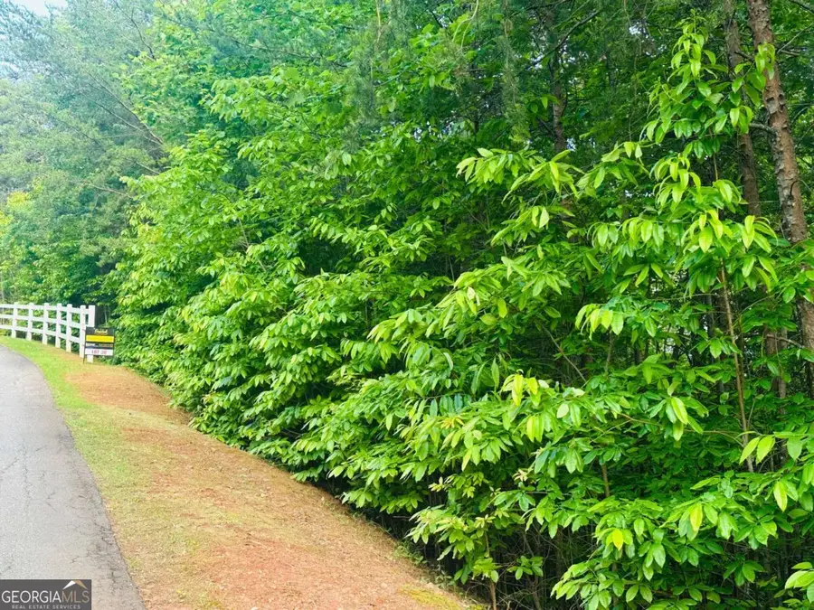 LOT 28 Crown Mountain Way, Dahlonega, GA 30533 - Image #2