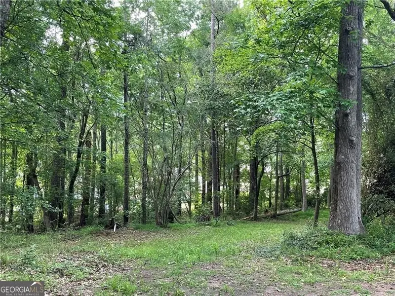 6378 Browns Mill Road, Stonecrest, GA 30038 - Image #3