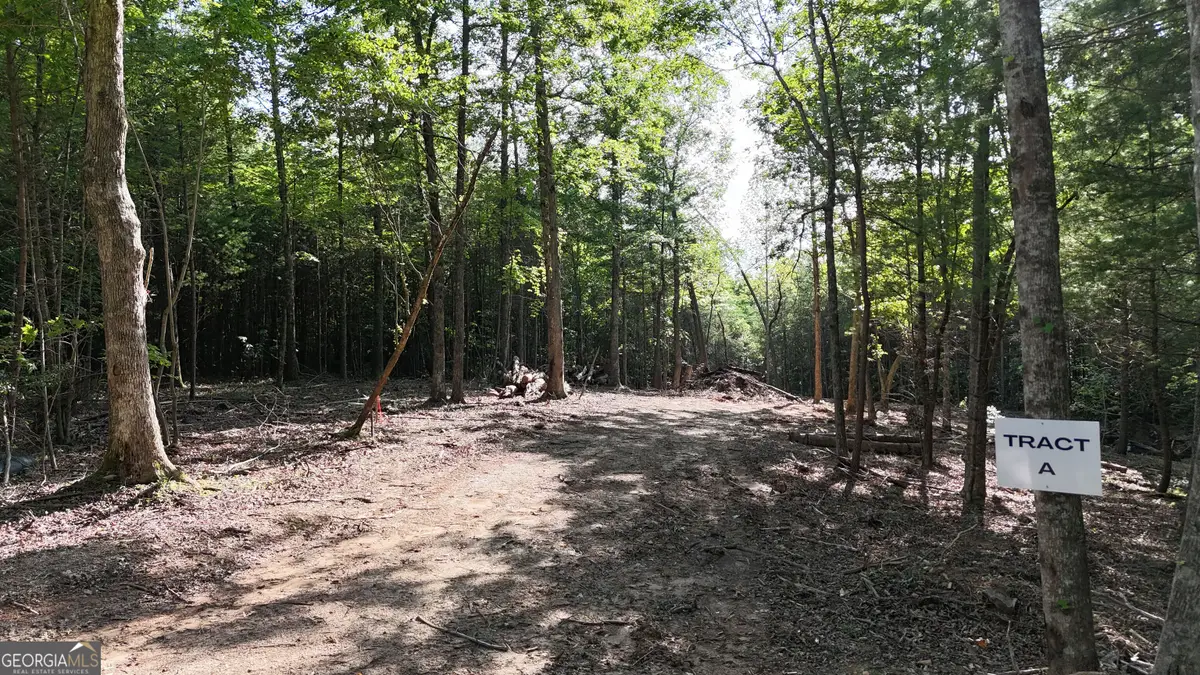 TR A East New Hope Road, Ellijay, GA 30536 - Image #1