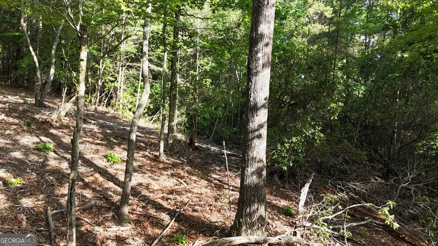 TR A East New Hope Road, Ellijay, GA 30536 - Image #2