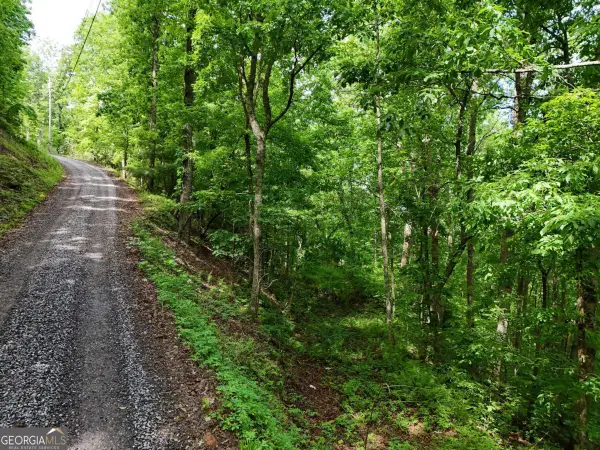 14B & C Rainbow Ridge, Hiawassee, GA 30546