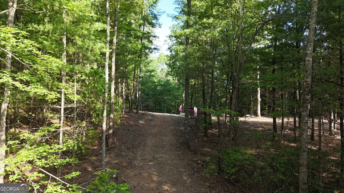 TR C East New Hope Road, Ellijay, GA 30536 - Image #1