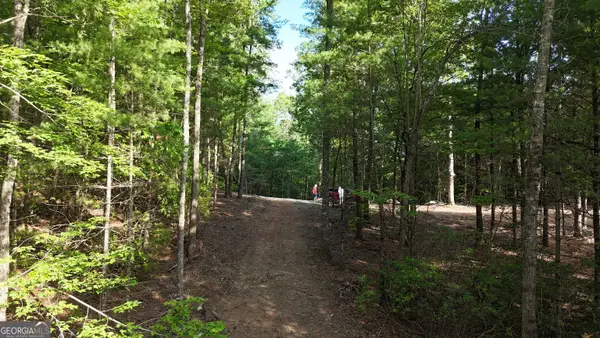 TR C East New Hope Road, Ellijay, GA 30536