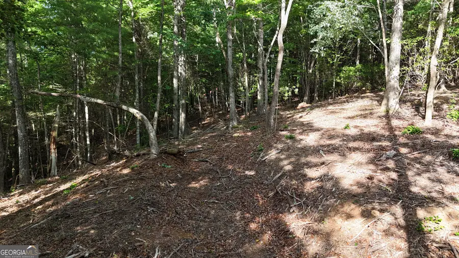 TR C East New Hope Road, Ellijay, GA 30536 - Image #2