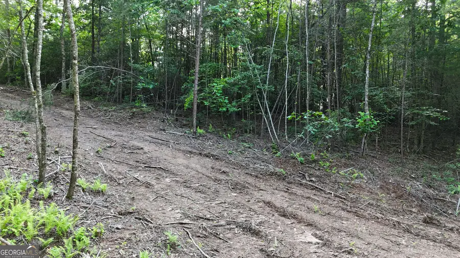 TR C East New Hope Road, Ellijay, GA 30536 - Image #3