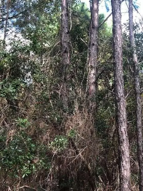 #3