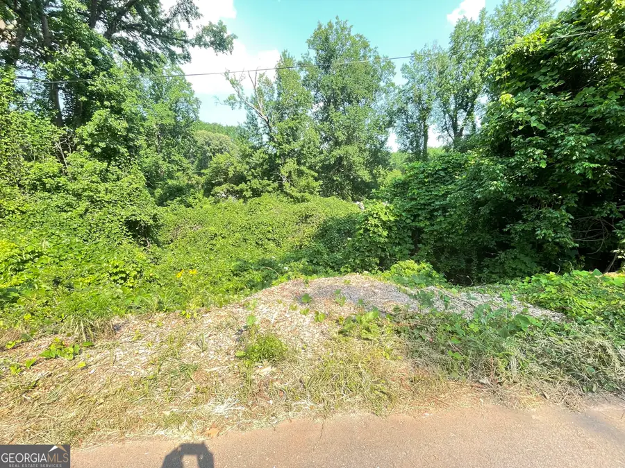 1247 Beechview Drive Se, Atlanta Decatur, GA 30316 - Image #3