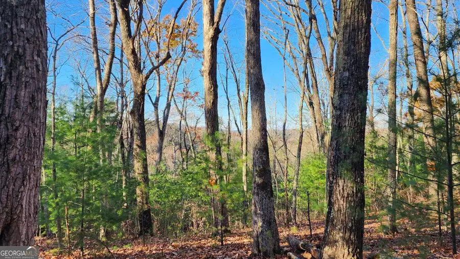 0 Meadowlands Drive, Talking Rock, GA 30175 - Image #3