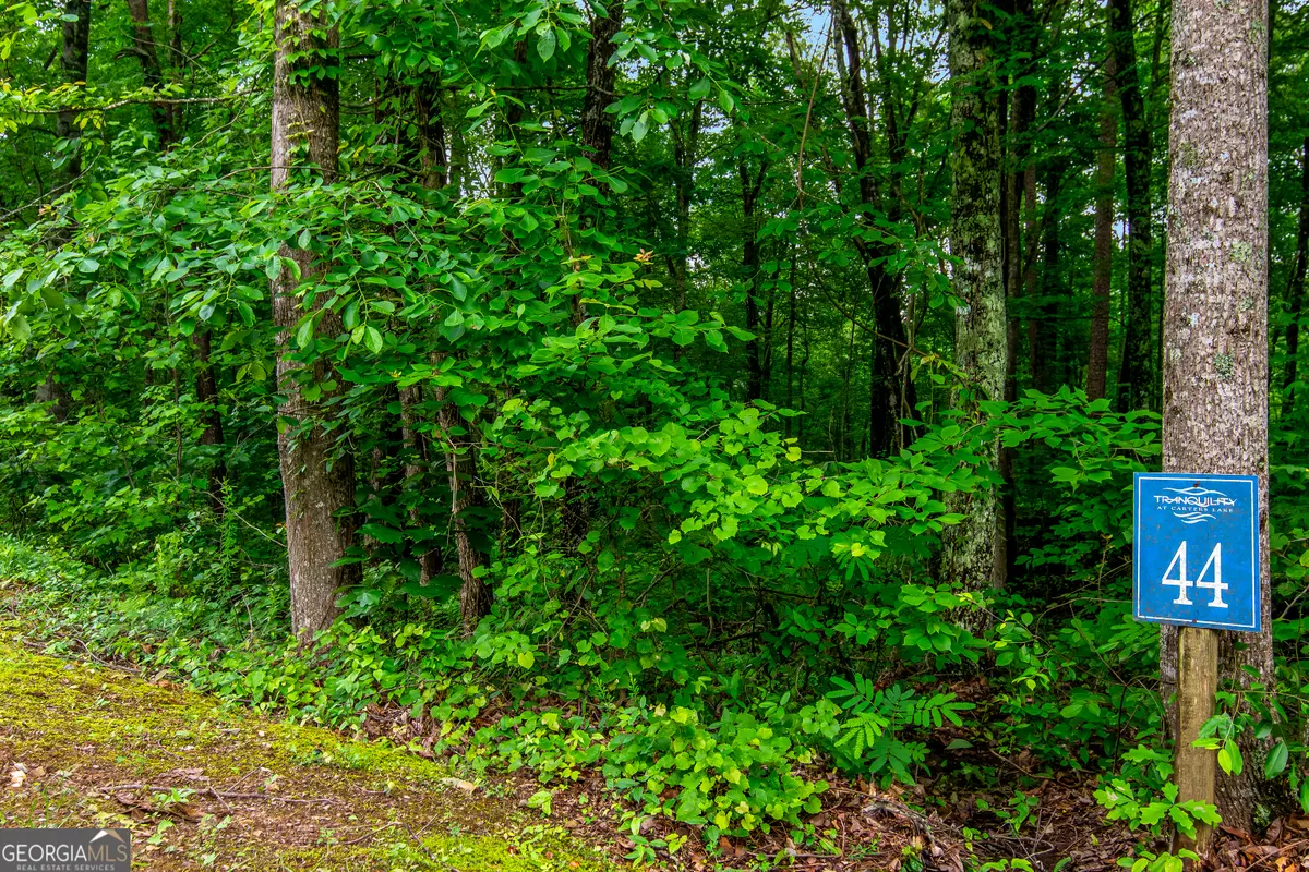 LOT 44 Harris Creek Drive #44, Ellijay, GA 30540 - #1