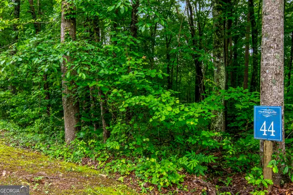 LOT 44 Harris Creek Drive #44, Ellijay, GA 30540