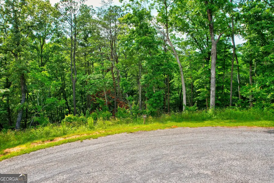 LOT 16 Lake Top Lane, Ellijay, GA 30540 - Image #3