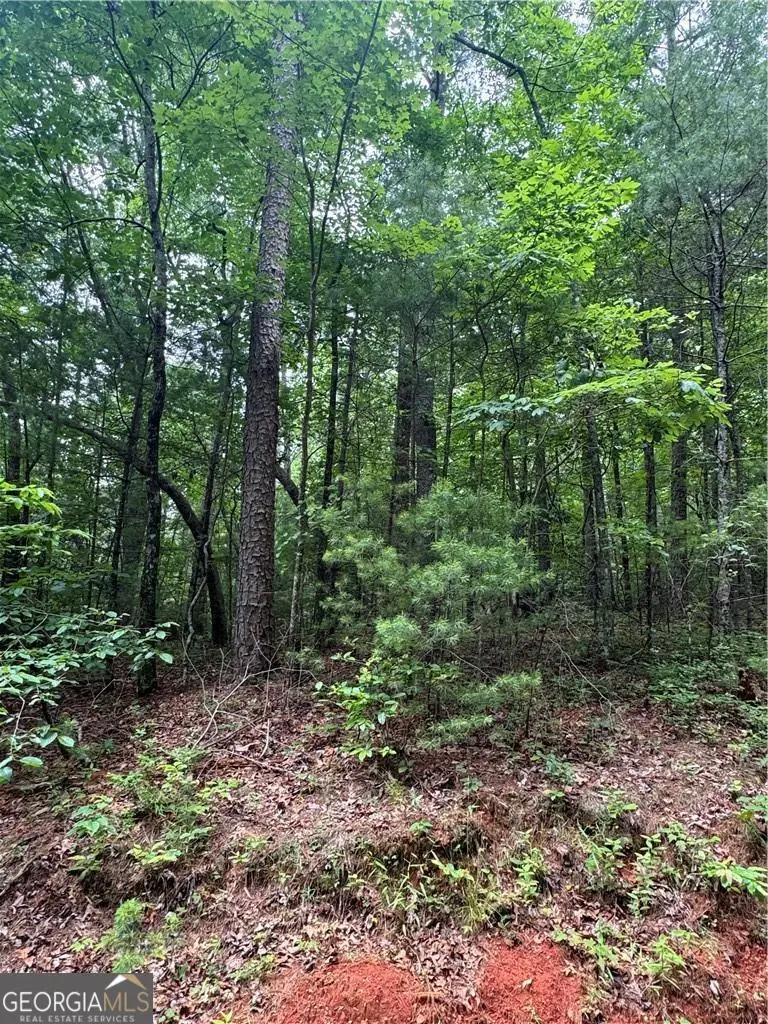 0 Nimblewill Creek Road, Dahlonega, GA 30533 - Image #2