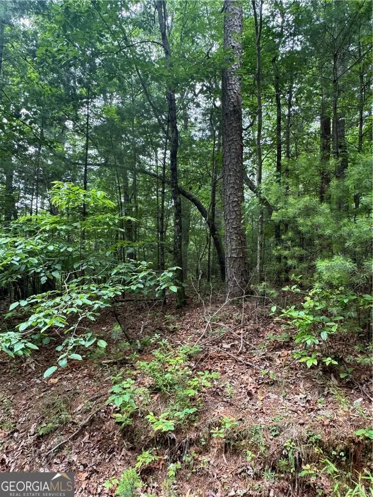 0 Nimblewill Creek Road, Dahlonega, GA 30533 - Image #3