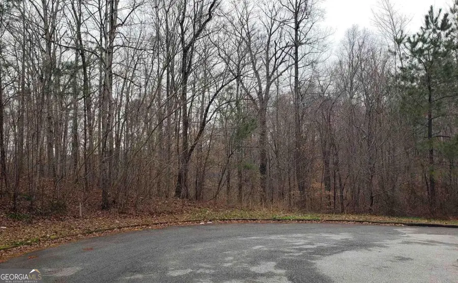 0 River Bend Court, Villa Rica, GA 30180 - Image #3