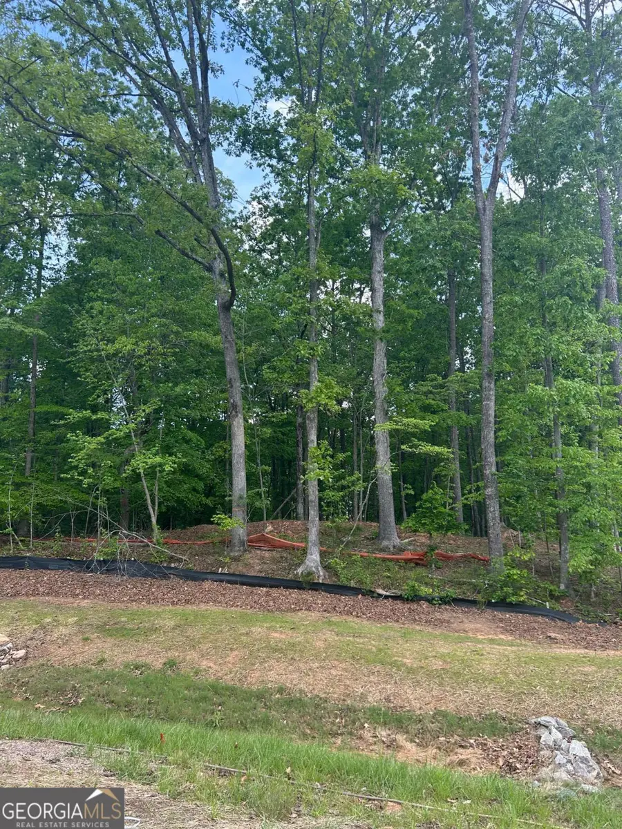 240 Thompson Trail, Alpharetta, GA 30004 - Image #3