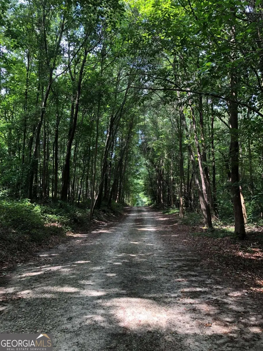 209 Alice Moss Lane, Alto, GA 30510 - Image #2