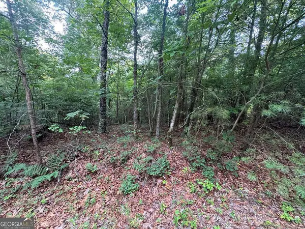 793 Woodbine Lane, Ranger, GA 30734