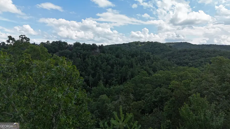 793 Woodbine Lane, Ranger, GA 30734 - Image #3