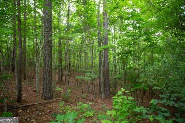 6480A Highway 52 W, Dahlonega, GA 30533