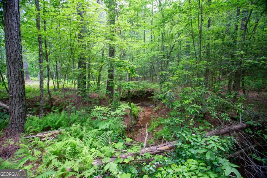 6480A Highway 52 W, Dahlonega, GA 30533 - Image #2