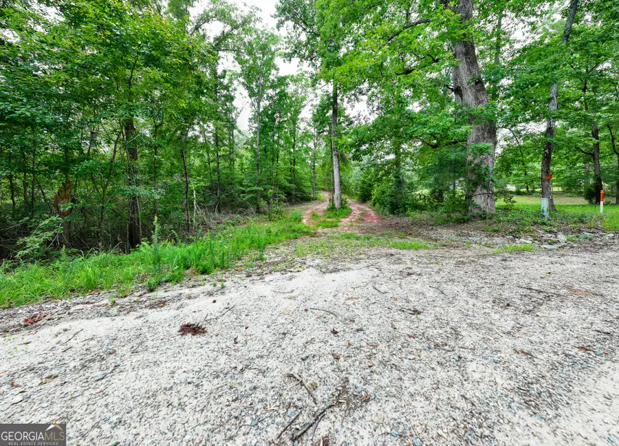 0 South Porter Road, Shiloh, GA 31826 - Image #2