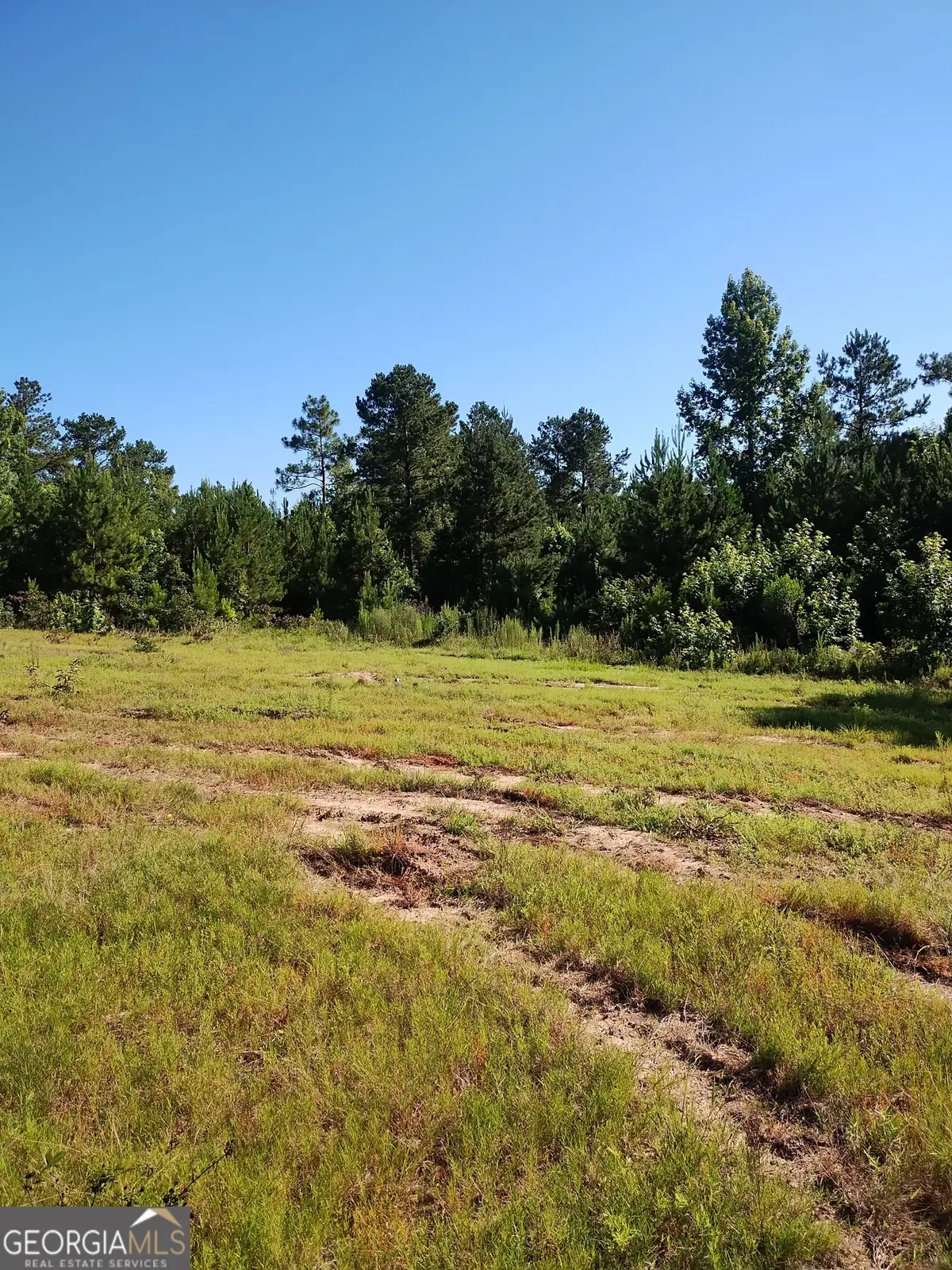 0 Moore Road, Register, GA 30452 - Image #1