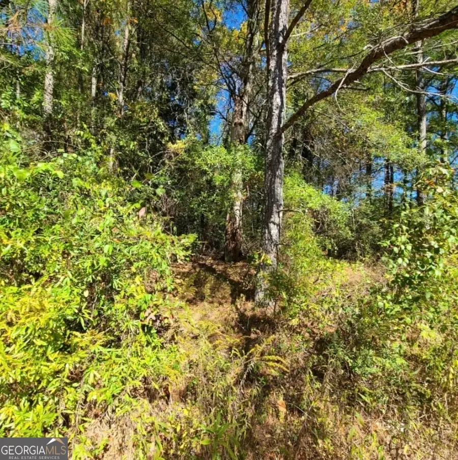 0 Scarlett Lane, Rome, GA 30161 - Image #3