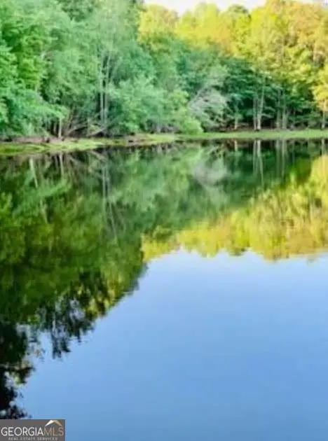 0 Malone Road, Fayetteville, GA 30215 - Image #1