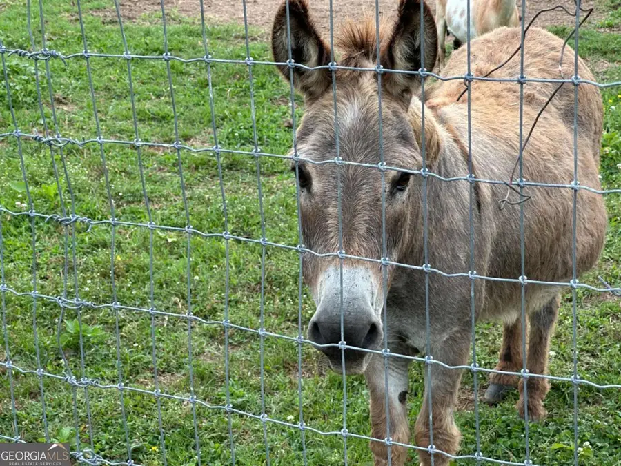 669 Nicklesville Road Ne, Resaca, GA 30735 - Image #2