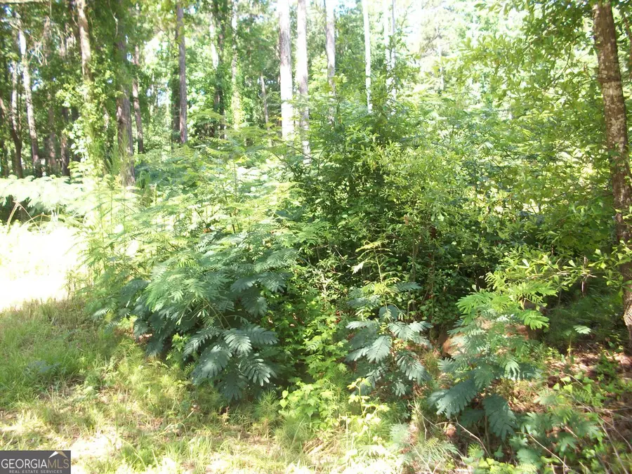 43 Shady Lane, Jackson, GA 30233 - Image #2