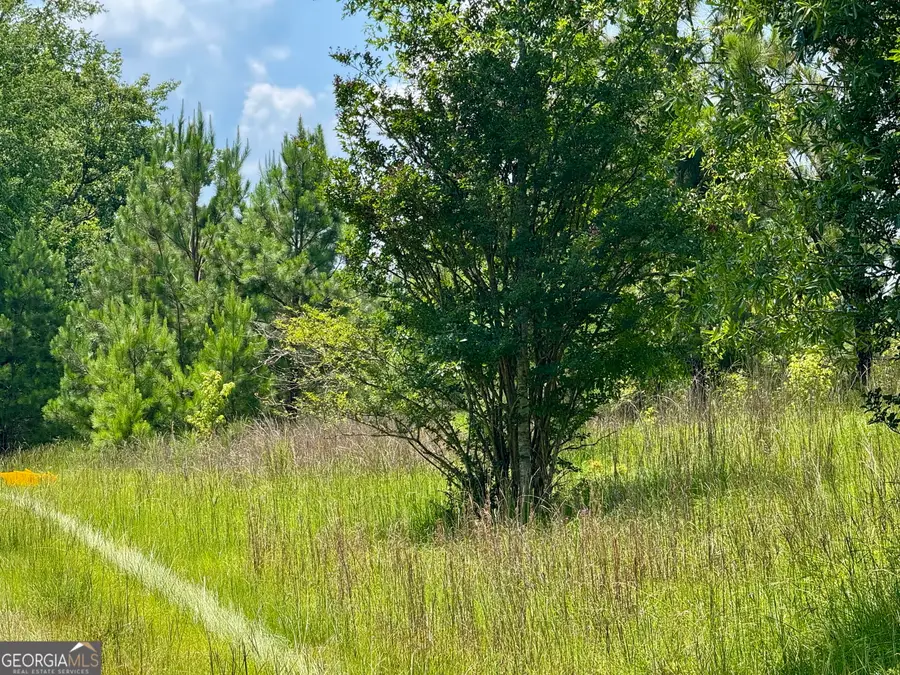 0 Crosscreek Lane, Sparta, GA 31087 - Image #2