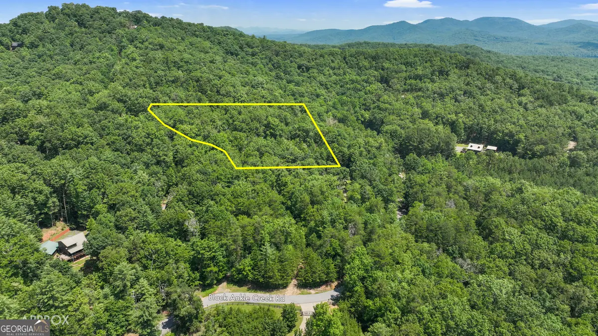 LOT 1 High Knee Road, Cherry Log, GA 30522 - Image #1