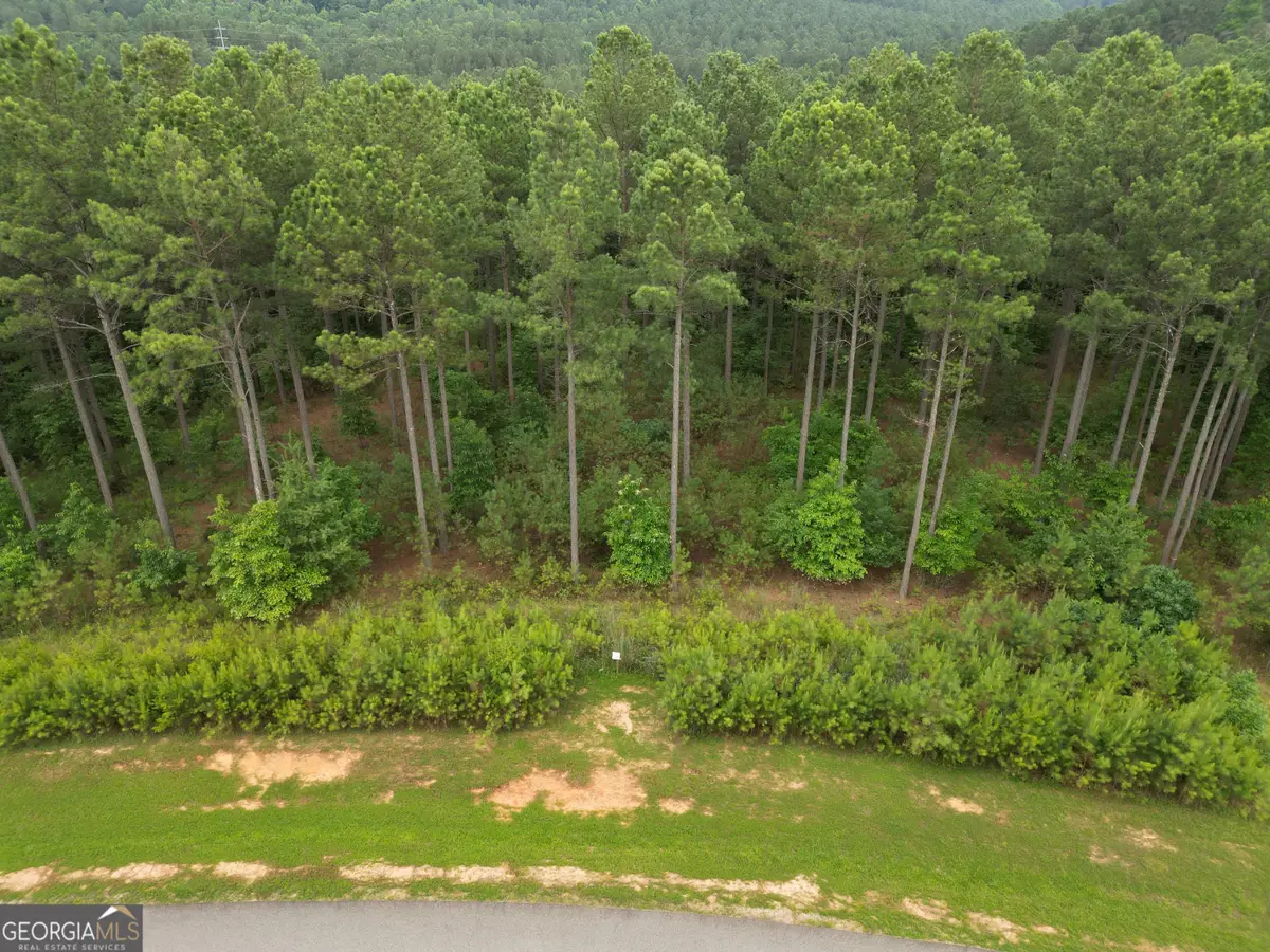 LOT 148 Stables Loop, Blairsville, GA 30512 - Image #1