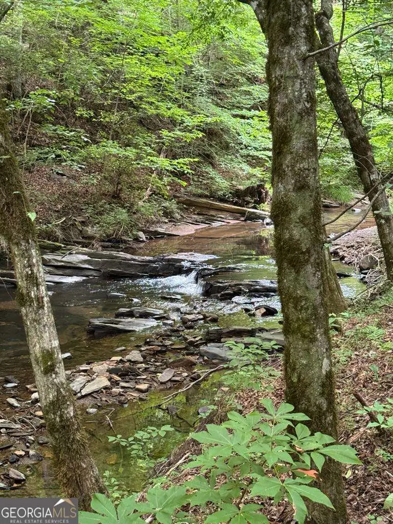 1634 Carman Way, Talking Rock, GA 30175 - Image #3