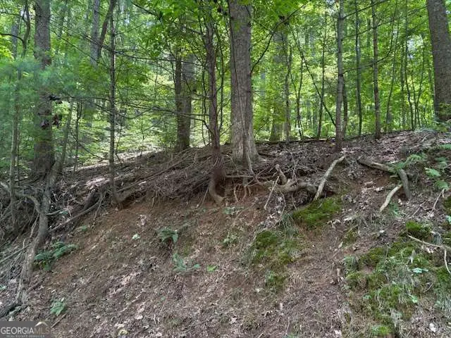 0 Mountain View Court, Ellijay, GA 30536 - Image #1