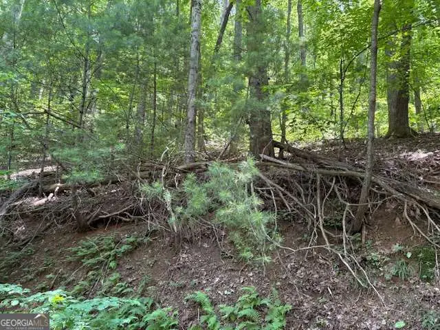 0 Mountain View Court, Ellijay, GA 30536 - Image #2