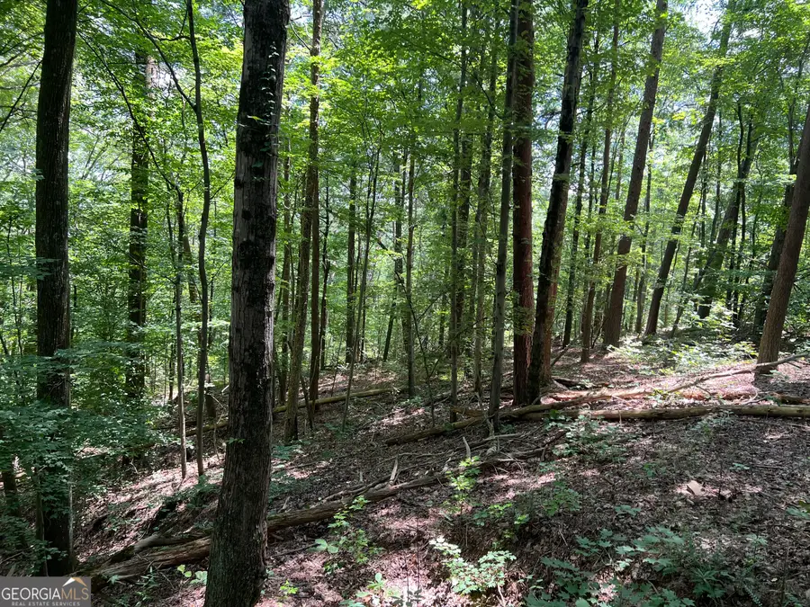 0 Lavender Trail, Rome, GA 30165 - Image #3