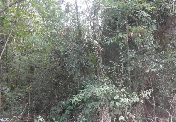 0 Waters Street, Monticello, GA 31064