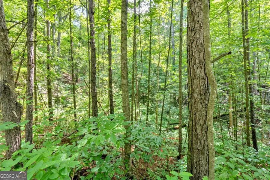 0 Whitestone Drive, Talking Rock, GA 30175 - Image #2