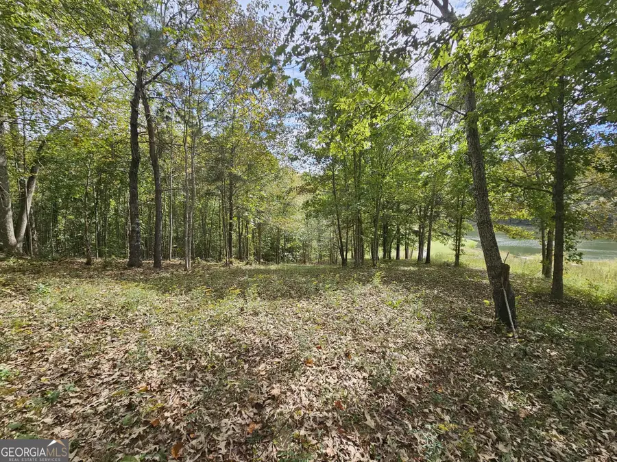 42 Lookout Point, Toccoa, GA 30577 - Image #3