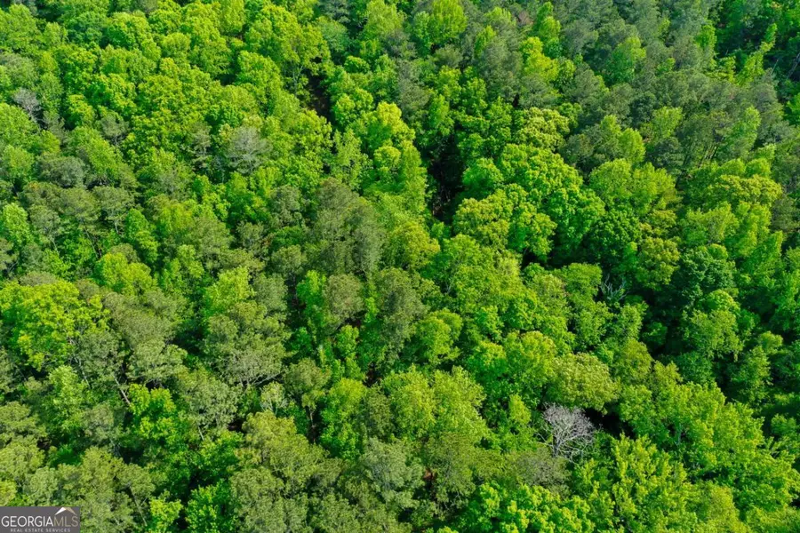 0 Bradley Drive Sw, Snellville, GA 30039 - Image #2