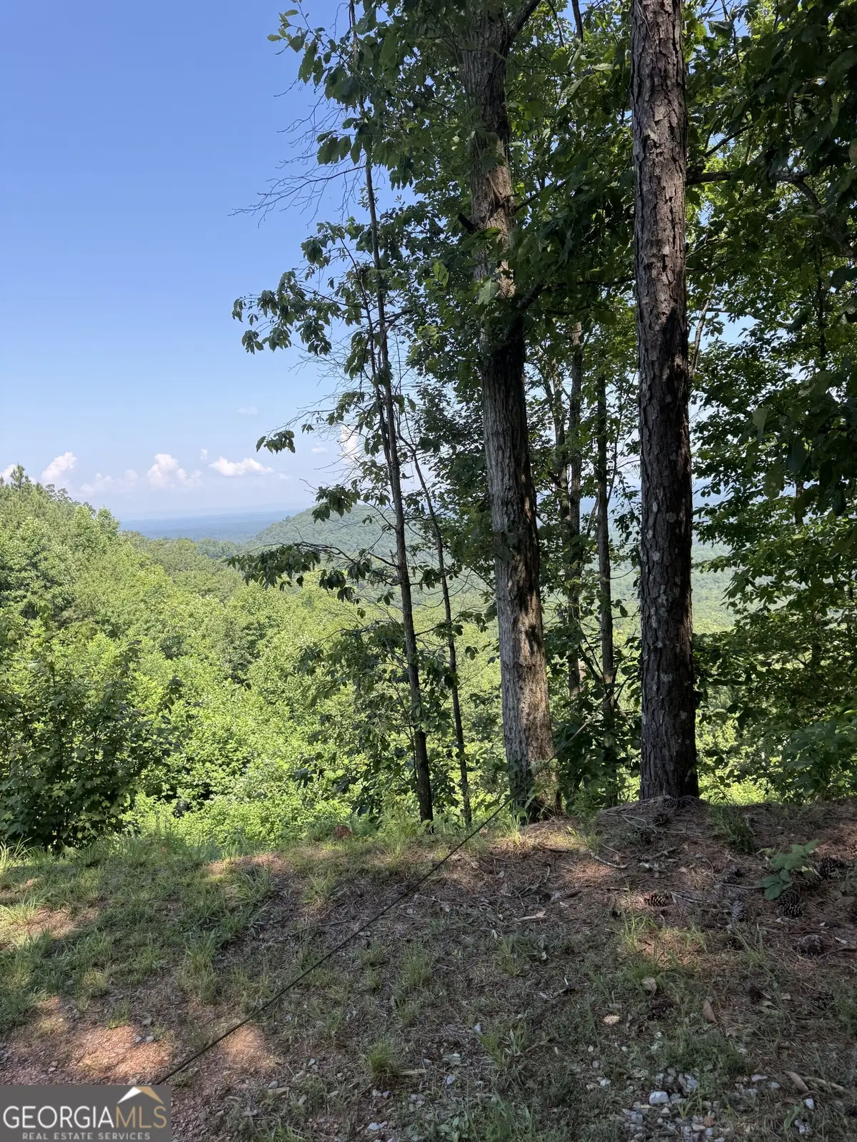 1588 Paladin Drive, Ranger, GA 30734 - Image #1