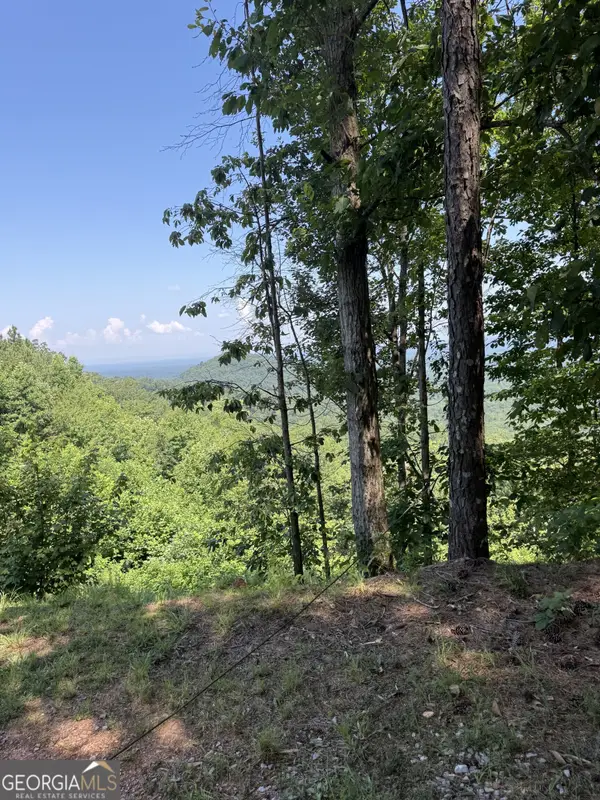 1588 Paladin Drive, Ranger, GA 30734