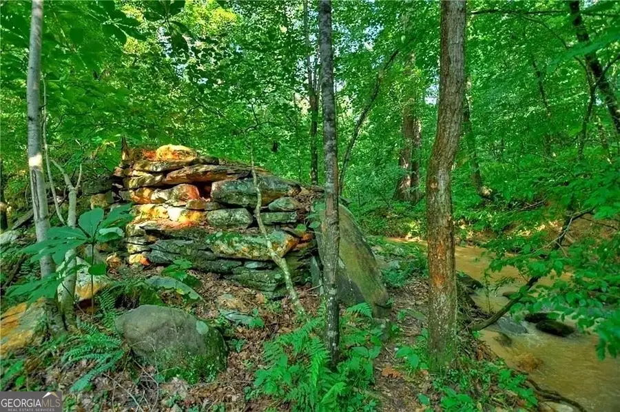 0 Lower Toccoa Hills Road, Blue Ridge, GA 30513 - Image #3