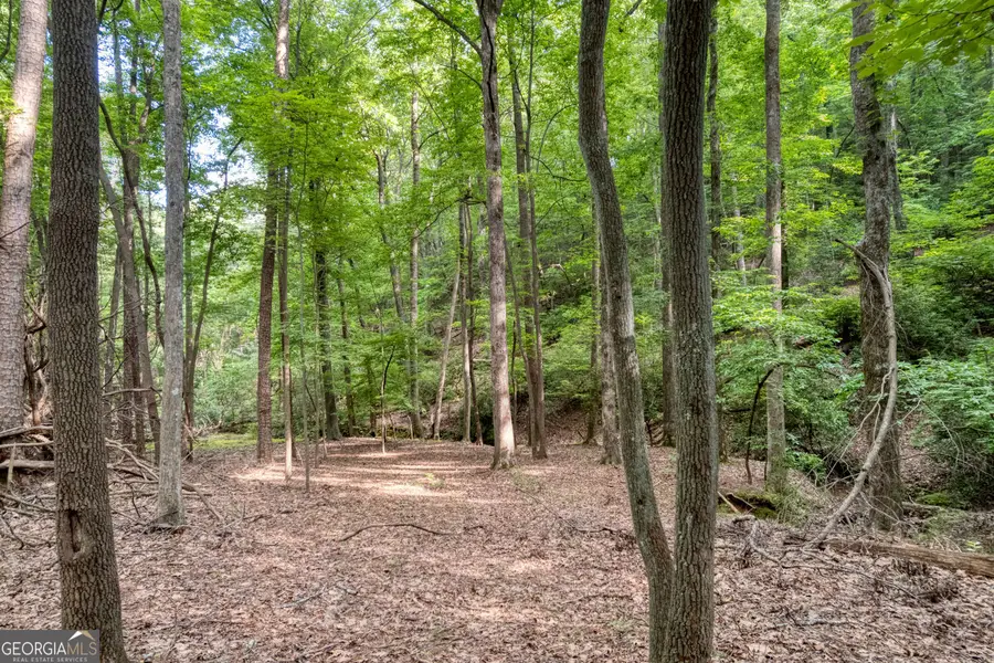 90 Cardinal Cove, Big Canoe, GA 30143 - Image #2