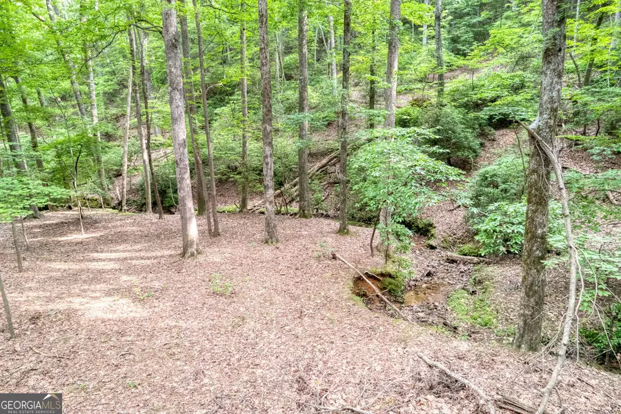 90 Cardinal Cove, Big Canoe, GA 30143 - Image #3