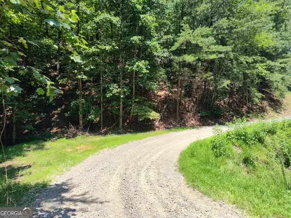 560 Neptune Circle, Ranger, GA 30734